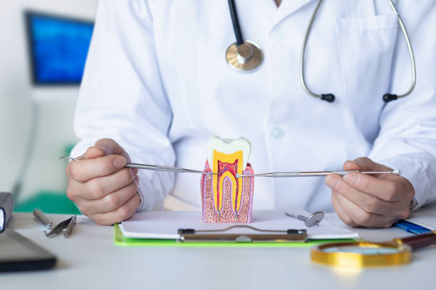 Best Emergency Care for Gum Disease in Granite Falls, MN